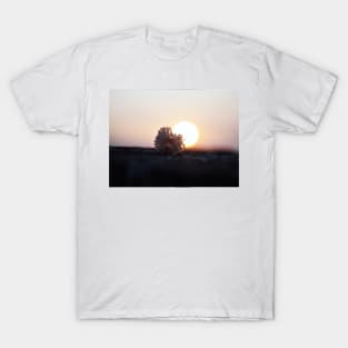 sunset at the beach T-Shirt